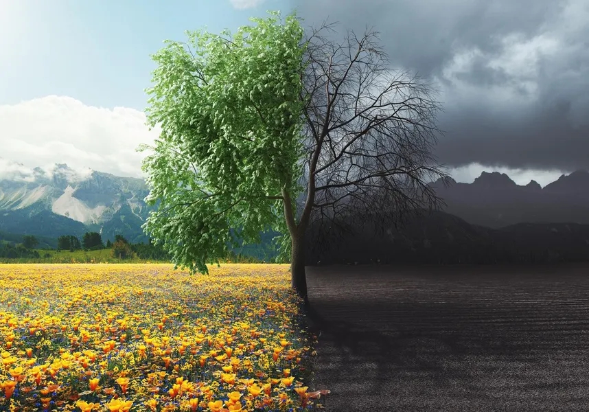 Thời kỳ BANI là gì, BANI world, Brittle Anxious Non‑linear Incomprehensible, đối phó BANI