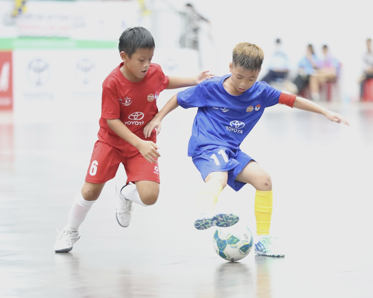 Lịch thi đấu bóng đá Việt Nam, V-League 2025/2026, Nam Định, Hải Phòng FC, Hà Nội FC, giải U9 Quốc gia 2025