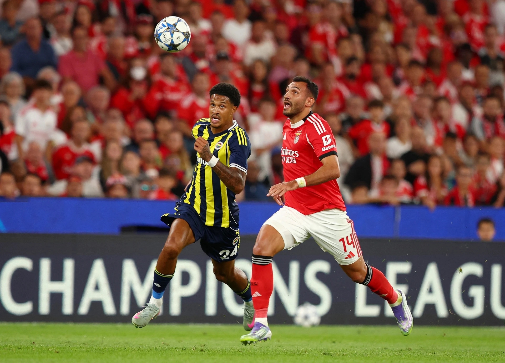 Mourinho, Fenerbahce, Benfica, Champions League, play-off