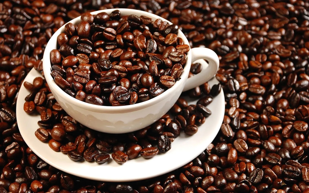 Giá cà phê 12/9/2025, dự báo giá cà phê, giá cà phê hôm nay, giá cà phê Robusta, giá cà phê Arabica, giá cà phê Tây Nguyên