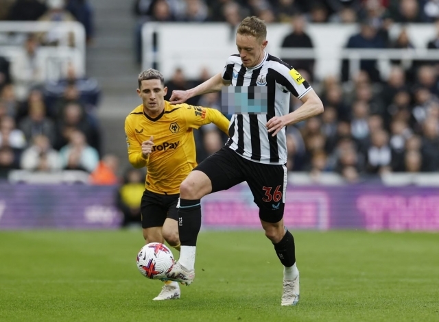 Nhận định Newcastle vs Wolves 21h00 13/9, soi kèo Newcastle vs Wolves, dự đoán tỷ số Newcastle vs Wolves, Newcastle vs Wolves Ngoại hạng Anh, phong độ Newcastle, phong độ Wolves