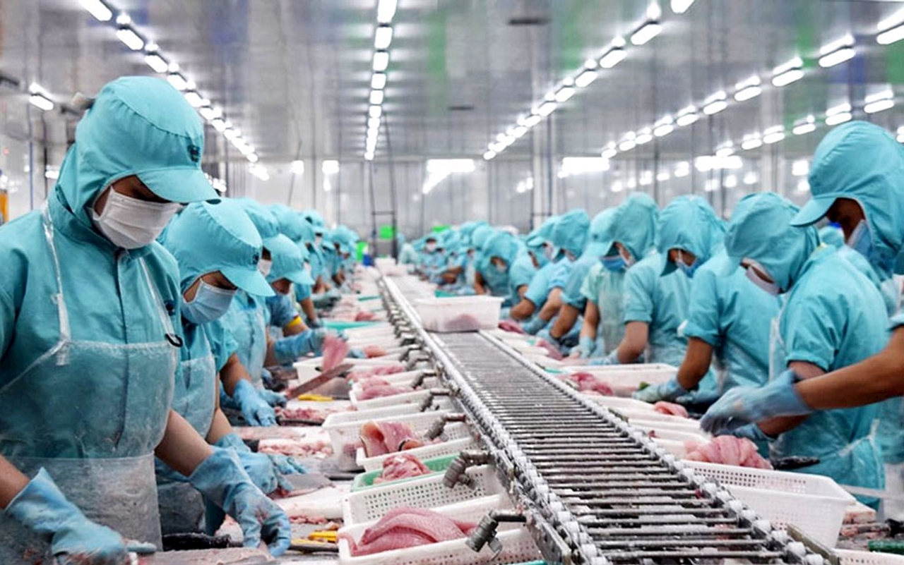 Giá hàng hóa hôm nay 14/9/2025, giá vàng hôm nay 14/9, giá cà phê hôm nay 14/9, giá tiêu hôm nay 14/9, tỷ giá USD, thị trường hàng hóa