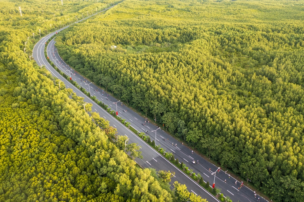 HDBank Green Marathon 2025, giải chạy Cần Giờ, marathon xanh, HDBank CSR, chạy bộ bền vững