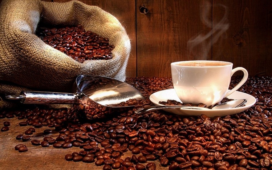Giá cà phê hôm nay 15/9/2025, giá cà phê trong nước, giá cà phê thế giới, giá robusta, giá arabica