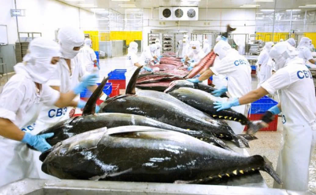 Xuất khẩu cá ngừ Việt Nam, thị trường Mỹ, thuế quan cá ngừ, VASEP, CPTPP, EU, cạnh tranh cá ngừ
