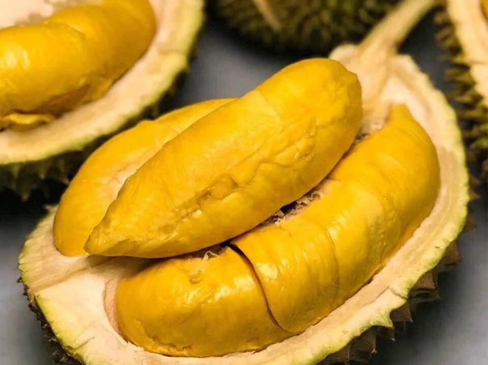 giá sầu riêng hôm nay 22/9/2025, giá sầu riêng, sầu riêng Ri6, Musang King