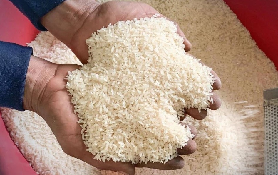 giá lúa gạo hôm nay 30/9/2025, giá gạo 30/9/2025, giá gạo xuất khẩu, thị trường gạo Việt Nam, gạo Thái Lan giảm