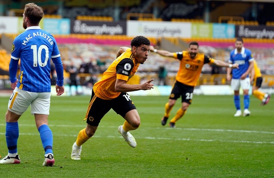 đội hình dự kiến Wolves vs Brighton, Wolves vs Brighton, nhận định Wolves vs Brighton, dự đoán tỷ số Wolves vs Brighton