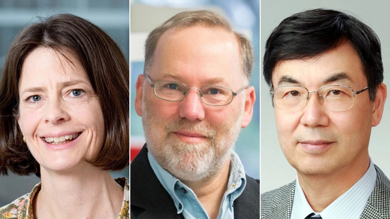 Giải Nobel Y sinh 2025, Mary E. Brunkow, Fred Ramsdell, Shimon Sakaguchi, cơ chế dung nạp miễn dịch ngoại biên, tế bào T điều hòa