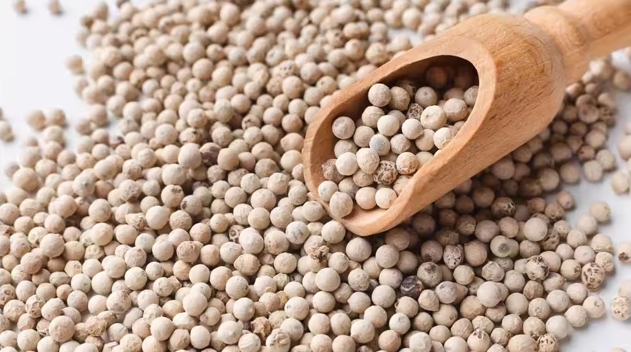 Giá cà phê 11/10/2025, giá cà phê hôm nay, giá cà phê Tây Nguyên, giá tiêu hôm nay, giá hồ tiêu, cà phê Robusta, Arabica, thị trường nông sản