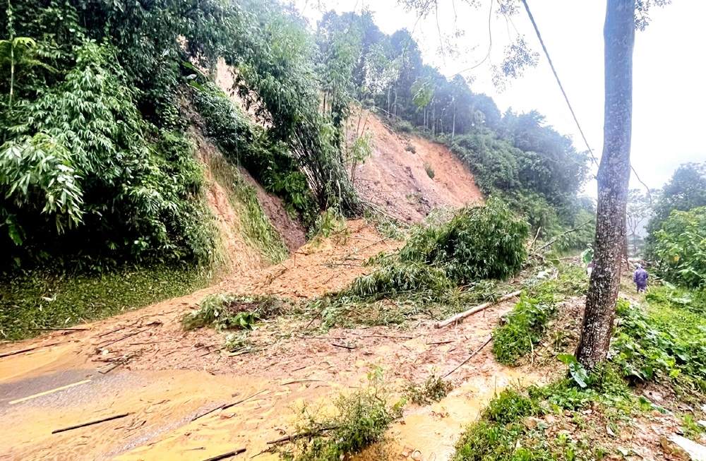 Thái Nguyên, mưa lũ Thái Nguyên, thiệt hại mưa lũ, nông nghiệp Thái Nguyên, chăn nuôi Thái Nguyên, thiên tai miền Bắc, ngập úng Thái Nguyên