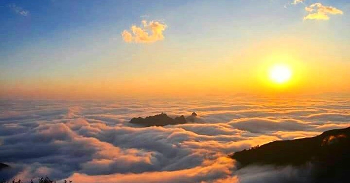 Tử vi 12 con giáp ngày 15/10/2025, tử vi hôm nay, tử vi tuổi Tý, tử vi tuổi Sửu, vận trình ngày 15/10/2025