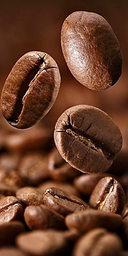 Dự báo giá cà phê 15/10, giá cà phê hôm nay 15/10/2025, dự báo giá cà phê, giá cà phê trong nước, giá cà phê thế giới, cà phê robusta, cà phê arabica