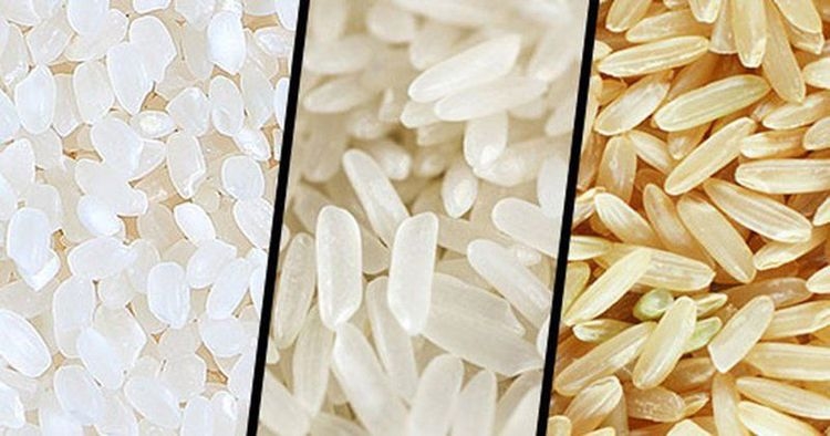 Giá lúa gạo 19/10/2025, giá lúa gạo hôm nay, giá gạo 19/10, giá lúa 19/10, giá gạo trong nước, giá gạo xuất khẩu, thị trường lúa gạo