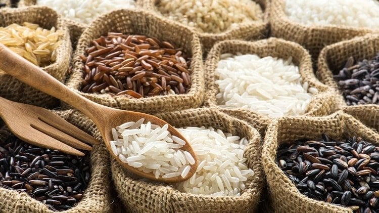 Giá lúa gạo 19/10/2025, giá lúa gạo hôm nay, giá gạo 19/10, giá lúa 19/10, giá gạo trong nước, giá gạo xuất khẩu, thị trường lúa gạo