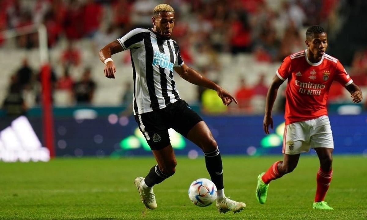 Link xem trực tiếp Newcastle vs Benfica 02h, 22/10 ở đâu, kênh nào?