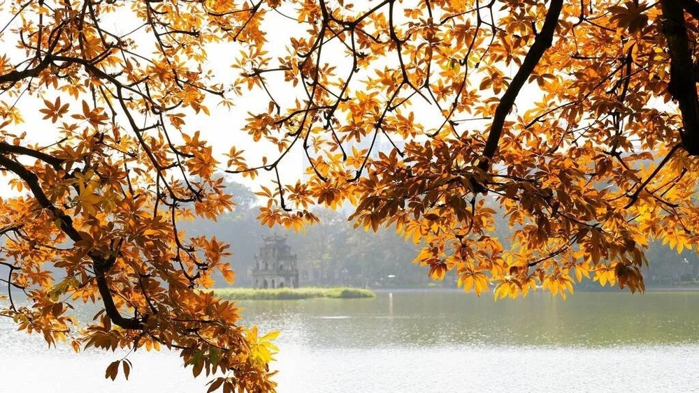 tử vi 12 cung hoàng đạo 27/10/2025, tử vi hôm nay, Nhân Mã, Bạch Dương, Sư Tử, Thiên Bình, Ma Kết, Song Ngư