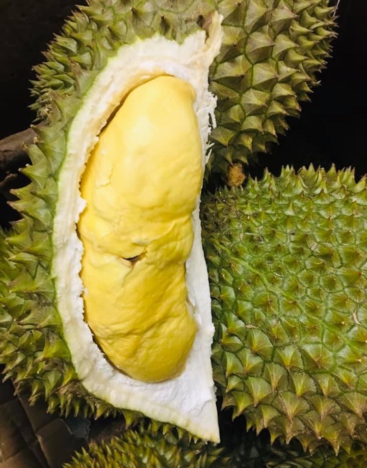 giá sầu riêng hôm nay 26/10, giá sầu riêng Thái, giá sầu riêng Ri6, giá sầu riêng Musang King, giá sầu riêng Đắk Lắk, giá sầu riêng Đồng bằng Sông Cửu Long