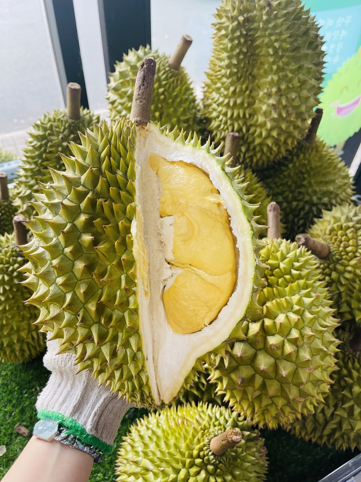 giá sầu riêng hôm nay 26/10, giá sầu riêng Thái, giá sầu riêng Ri6, giá sầu riêng Musang King, giá sầu riêng Đắk Lắk, giá sầu riêng Đồng bằng Sông Cửu Long