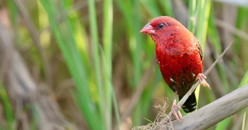 tử vi tuổi Thìn 30/10/2025, con số may mắn tuổi Thìn, tử vi hôm nay tuổi Thìn, tử vi ngày 30/10/2025, vận mệnh tuổi Thìn