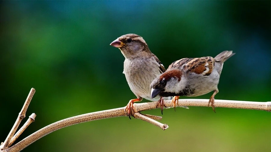 tử vi tuổi Thân 30/10/2025, con số may mắn tuổi Thân, tử vi 12 con giáp, vận may tuổi Thân, dự báo tử vi hôm nay, tuổi Thân giao tiếp