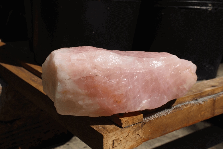 tử vi 12 cung hoàng đạo 30/10/2025, tử vi ngày 30/10/2025, chiêm tinh hôm nay, vận mệnh 12 cung hoàng đạo