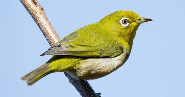 tử vi tuổi Tuất 30/10/2025, con số may mắn tuổi Tuất, tử vi hôm nay tuổi Tuất, tử vi 12 con giáp, con số vàng 30/10/2025, tuổi Tuất sự nghiệp