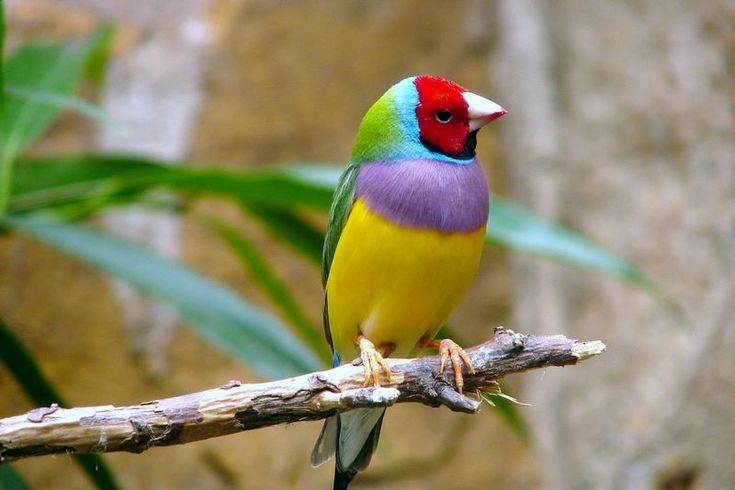 tử vi tuổi Mùi 30/10/2025, con số may mắn tuổi Mùi, tử vi Mùi hôm nay, vận may tuổi Mùi, con số vàng tuổi Mùi, tử vi hàng ngày 30/10/2025