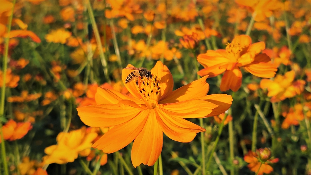 Tử vi 12 con giáp 30/10/2025tử vi 30/10/2025, tử vi 12 con giáp, vận mệnh 12 con giáp, tử vi hôm nay, tử vi ngày 30/10/2025, tử vi tuổi Tý