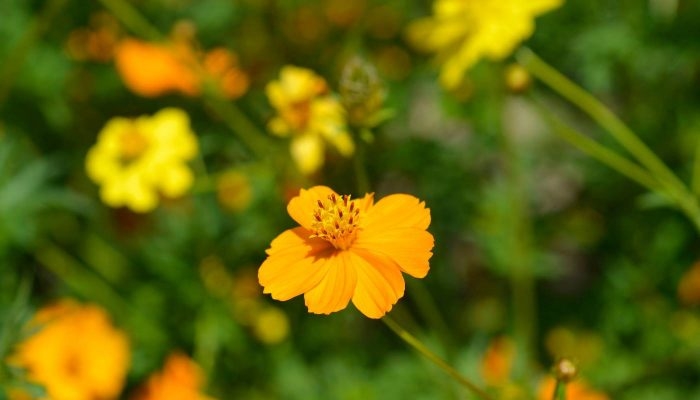 Tử vi 12 con giáp 30/10/2025tử vi 30/10/2025, tử vi 12 con giáp, vận mệnh 12 con giáp, tử vi hôm nay, tử vi ngày 30/10/2025, tử vi tuổi Tý