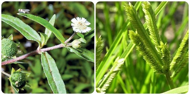 tử vi 12 con giáp 31/10/2025, tử vi ngày 31/10, tử vi 31/10/2025, tử vi hôm nay, con giáp phát tài, con giáp gặp khó khăn