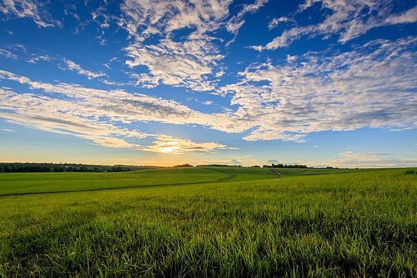 Con số may mắn tuổi Mão 31/10/2025, tử vi tuổi Mão, con số vàng tuổi Mão, vận may Mão, tử vi 31/10/2025