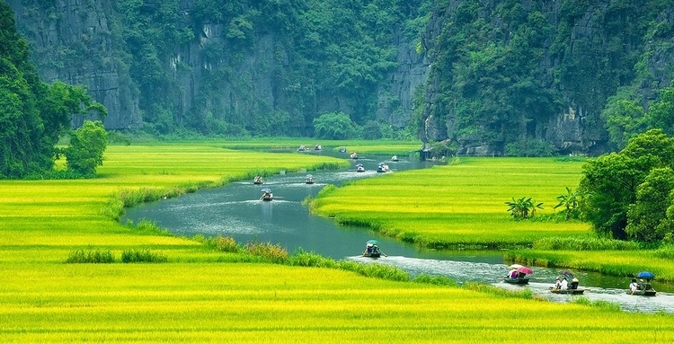 Con số may mắn tuổi Mão 31/10/2025, tử vi tuổi Mão, con số vàng tuổi Mão, vận may Mão, tử vi 31/10/2025