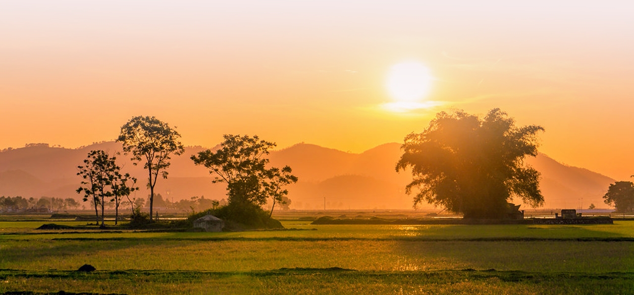 Con số may mắn tuổi Sửu 31/10/2025, tử vi tuổi Sửu hôm nay, con số phong thủy tuổi Sửu, vận mệnh tuổi Sửu, tử vi ngày 31/10/2025