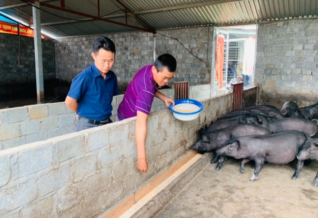 Dự báo giá heo hơi 31/10/2025, giá heo hơi 31/10/2025, giá heo hơi hôm nay 30/10/2025, giá heo hơi miền Bắc, giá heo hơi miền Trung, giá heo hơi miền Nam