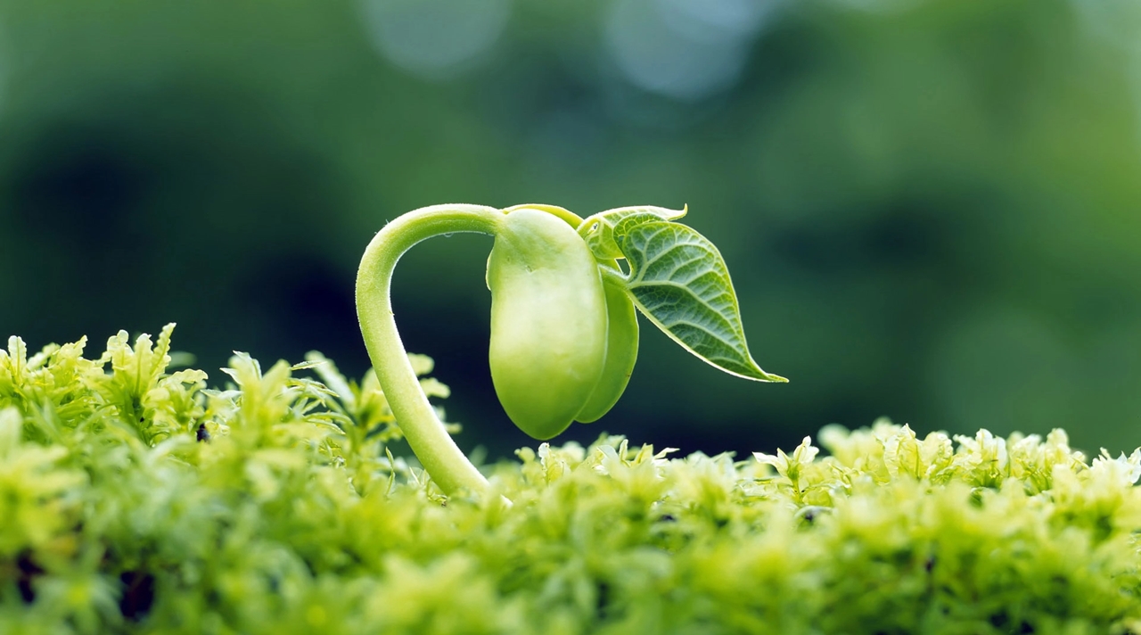 tử vi tuổi Tỵ 31/10/2025, tử vi ngày 31/10/2025, con số may mắn tuổi Tỵ, vận mệnh tuổi Tỵ, tài lộc tuổi Tỵ, tình duyên tuổi Tỵ