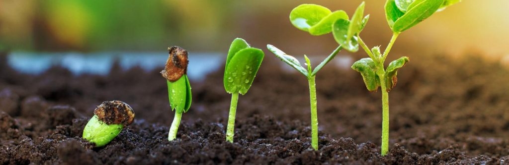 tử vi tuổi Ngọ 31/10/2025, tử vi ngày 31/10/2025, con số may mắn tuổi Ngọ, vận mệnh tuổi Ngọ, quý nhân tuổi Ngọ, tài lộc tuổi Ngọ, tình duyên tuổi Ngọ