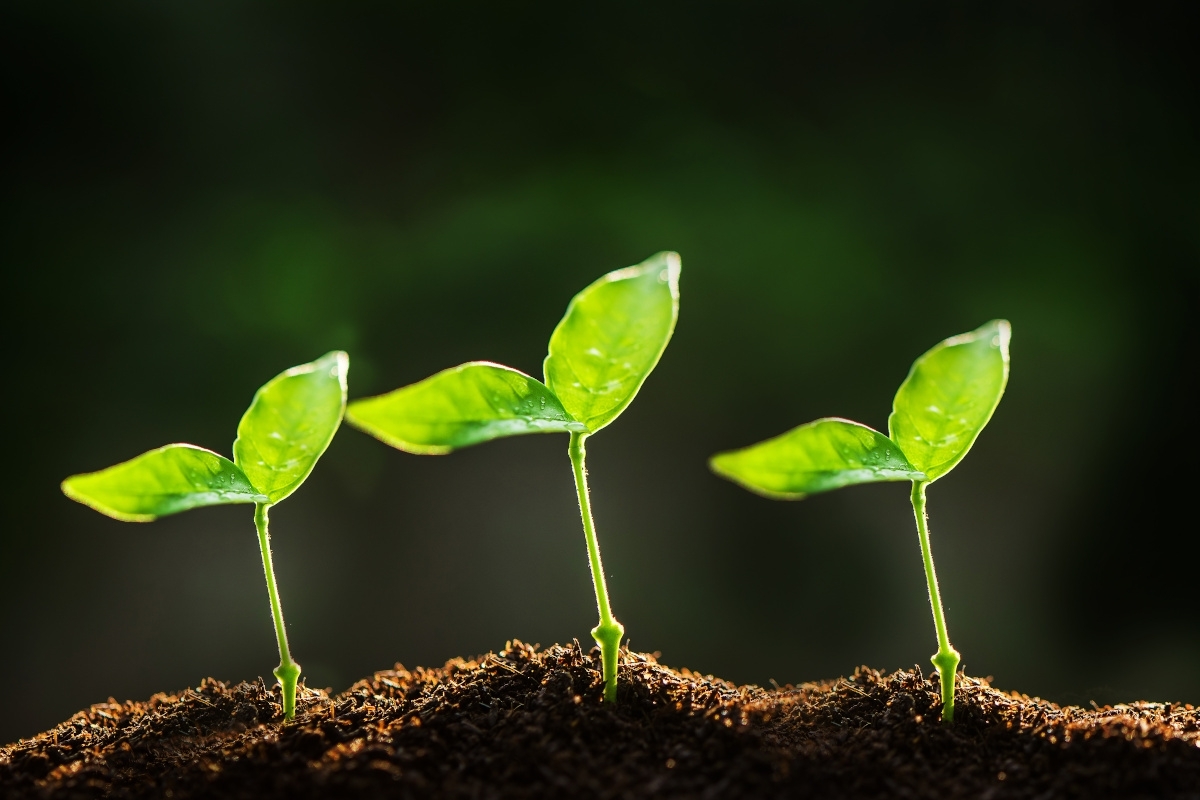 tử vi tuổi Ngọ 31/10/2025, tử vi ngày 31/10/2025, con số may mắn tuổi Ngọ, vận mệnh tuổi Ngọ, quý nhân tuổi Ngọ, tài lộc tuổi Ngọ, tình duyên tuổi Ngọ