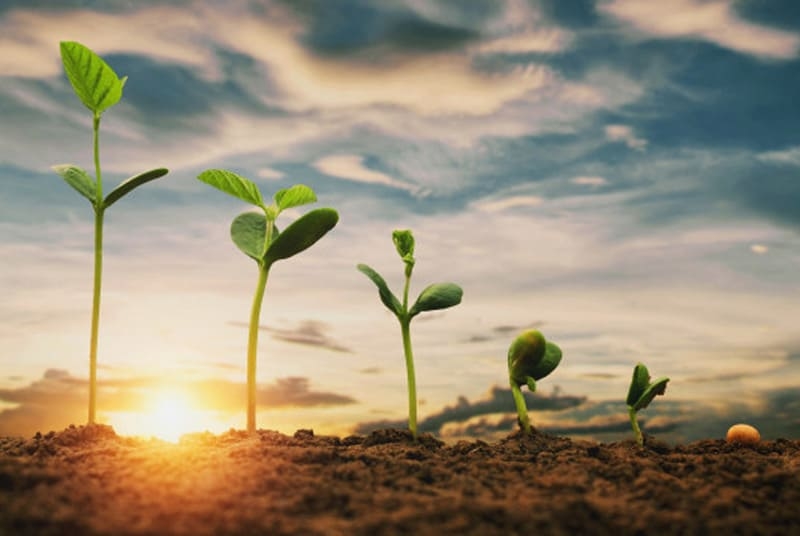 tuổi Thân, tử vi tuổi Thân, tháng sinh may mắn tuổi Thân, tuổi Thân sinh tháng 4 âm lịch, tuổi Thân sinh tháng 5 âm lịch, tuổi Thân sinh tháng 10 âm lịch