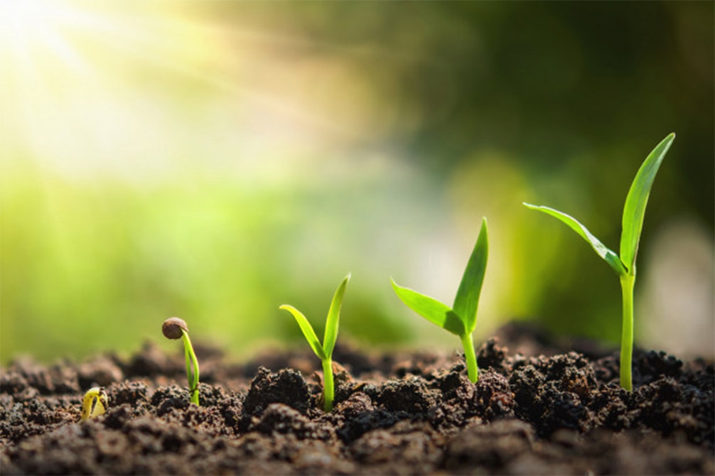 tuổi Thân, tử vi tuổi Thân, tháng sinh may mắn tuổi Thân, tuổi Thân sinh tháng 4 âm lịch, tuổi Thân sinh tháng 5 âm lịch, tuổi Thân sinh tháng 10 âm lịch