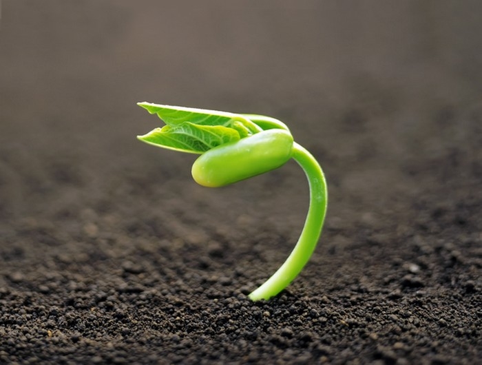 tuổi Thân, tử vi tuổi Thân, tháng sinh may mắn tuổi Thân, tuổi Thân sinh tháng 4 âm lịch, tuổi Thân sinh tháng 5 âm lịch, tuổi Thân sinh tháng 10 âm lịch