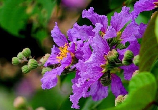 Tử vi 12 con giáp 1/11/2025, tử vi hôm nay, vận mệnh 12 con giáp, tuổi Dần, tuổi Mùi, tuổi Tý, phong thủy, tài lộc