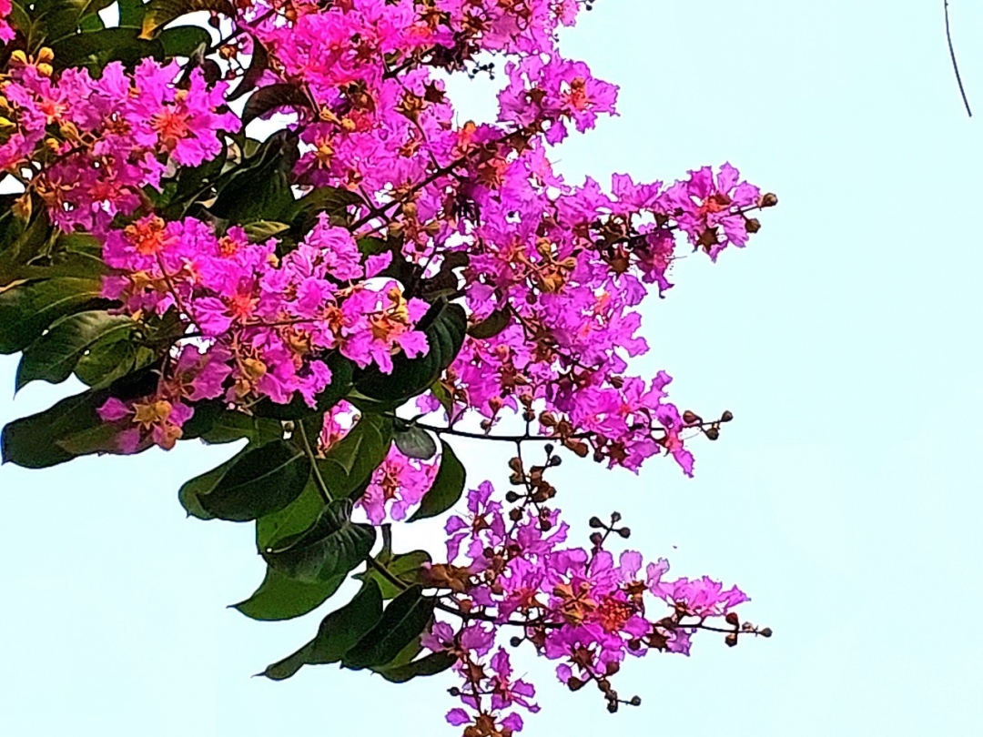 Tử vi tháng 11/2025 của 12 cung hoàng đạo có gì thú vị