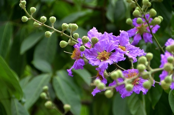 tử vi tháng 11/2025, tử vi 12 cung hoàng đạo, dự đoán tình cảm, dự đoán sự nghiệp, dự đoán tài chính, dự đoán sức khỏe