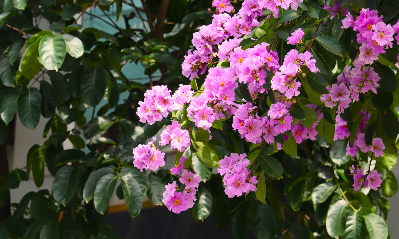 tử vi tháng 11/2025, tử vi 12 cung hoàng đạo, dự đoán tình cảm, dự đoán sự nghiệp, dự đoán tài chính, dự đoán sức khỏe