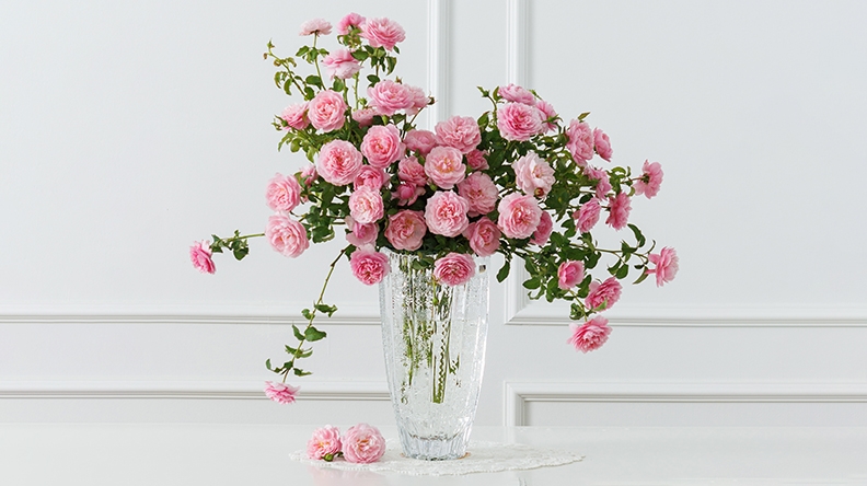 Tử vi 12 cung hoàng đạo hôm nay, tử vi 3/11/2025, vận trình 12 cung hoàng đạo, Bạch Dương, Kim Ngưu, Song Ngư