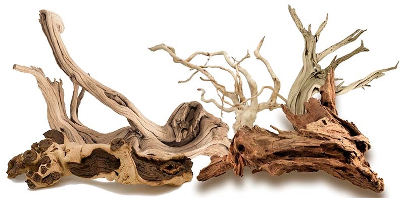 Tử vi 12 con giáp hôm nay, tử vi 3/11/2025, vận trình 12 con giáp, tuổi Ngọ, tuổi Thân, dự đoán sự nghiệp