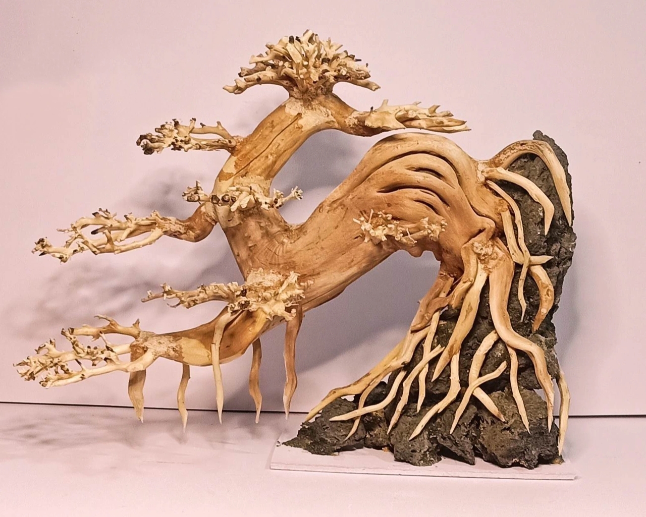 Tử vi 12 con giáp hôm nay, tử vi 3/11/2025, vận trình 12 con giáp, tuổi Ngọ, tuổi Thân, dự đoán sự nghiệp