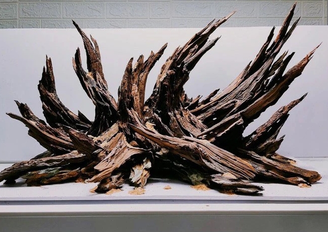 Tử vi 12 con giáp hôm nay, tử vi 3/11/2025, vận trình 12 con giáp, tuổi Ngọ, tuổi Thân, dự đoán sự nghiệp