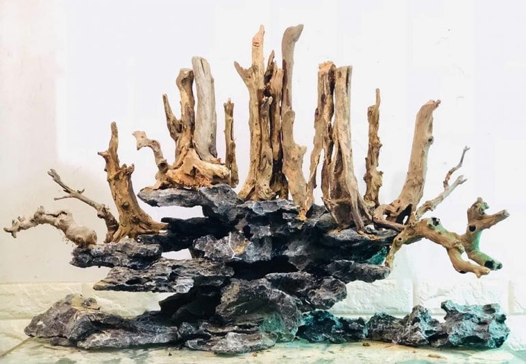 Tử vi 12 con giáp hôm nay, tử vi 3/11/2025, vận trình 12 con giáp, tuổi Ngọ, tuổi Thân, dự đoán sự nghiệp